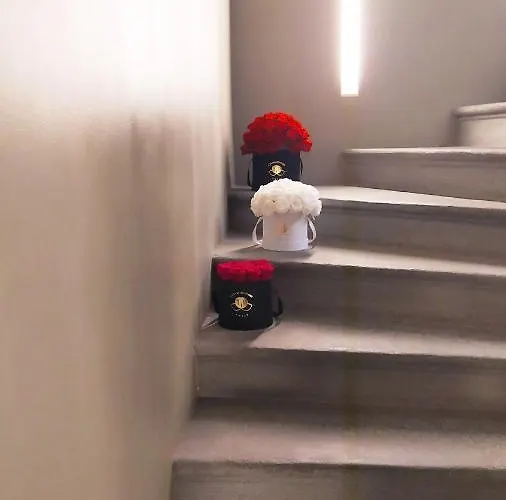 Petronilla - In Hotel Bérgamo