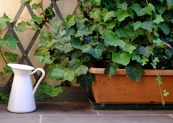 Hotel Petronilla - In 4*